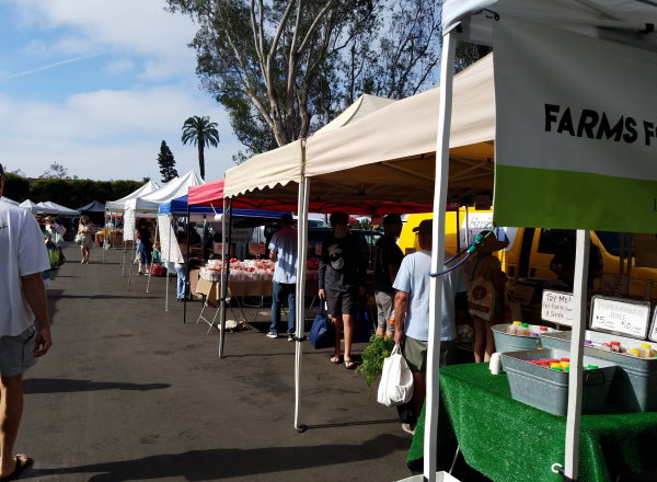 laguna beach farmers market www.lagunabeachcityguide.com laguna beach farmers market