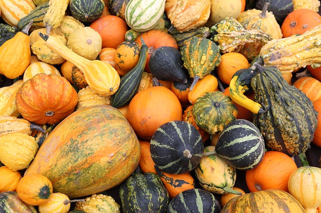 laguna beach farmers market squash at the farmers market www.lagunabeachcityguide.com laguna beach farmers market squash at the farmers market laguna beach california
